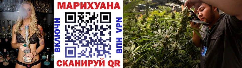 Купить где  Плавск  Каннабис VHQ 